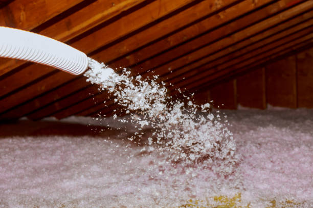 Best Geographic-Specific Insulation Services in Haines, AK