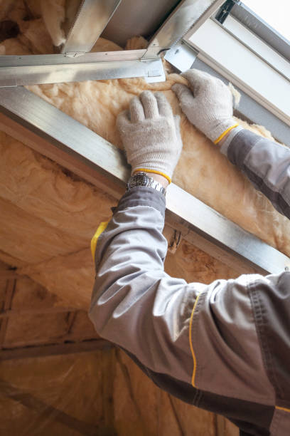 Best Specialized Insulation Services in Haines, AK