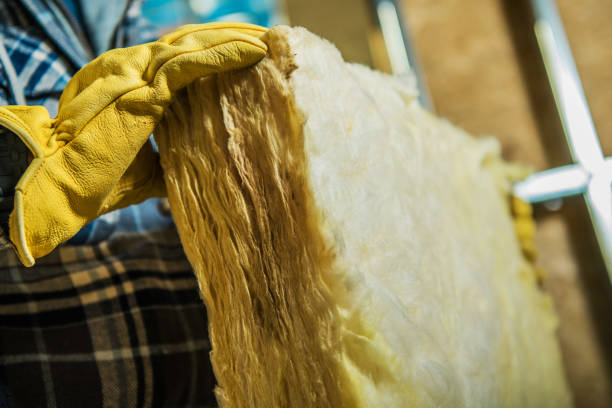 Best Eco-Friendly Insulation in Haines, AK